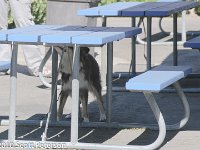 DSC 0096