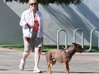 DSC 0099