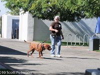 DSC 0106