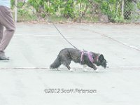 DSC 4140