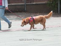 DSC 4166