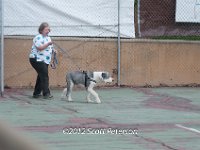 DSC 4278