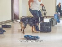 DSC 4300