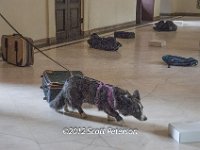 DSC 4301