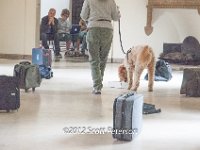 DSC 4305