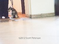 DSC 4322
