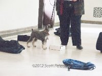 DSC 4323