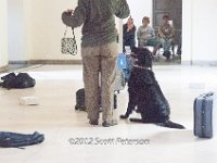 DSC 4332
