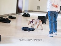 DSC 4762