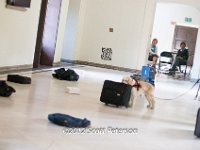 DSC 4763