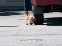 DSC 4369