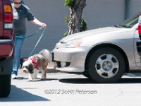DSC 4419