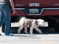 DSC 4423