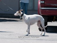 DSC 4430