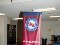 DSC 4511