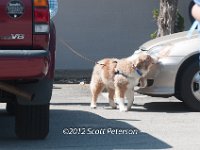 DSC 4799