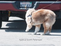 DSC 4801