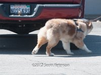 DSC 4802