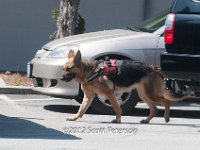 DSC 4804