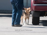DSC 4815