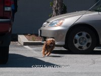 DSC 4819