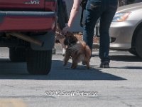 DSC 4822