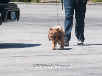 DSC 4824
