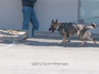 DSC 4827