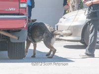 DSC 4830