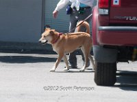 DSC 4832