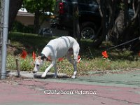 DSC 4856