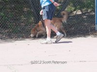 DSC 4885