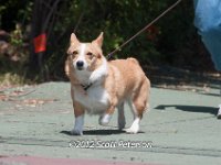 DSC 4891