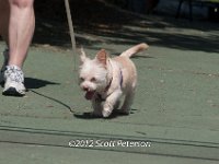 DSC 4927