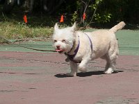 DSC 4930