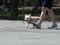 DSC 4932