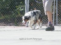 DSC 4954