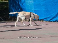 DSC 4996