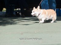 DSC 5012