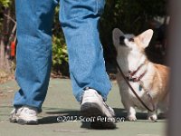 DSC 5015