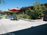 DSC 4597