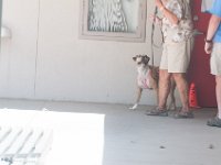 DSC 4598