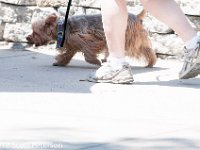 DSC 4605