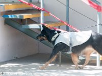 DSC 4621