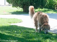 DSC 4634