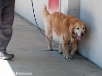 DSC 4636