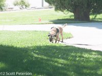 DSC 4639