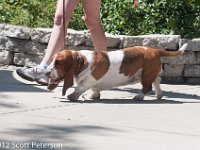 DSC 4642