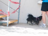 DSC 4646