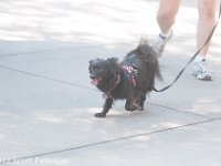 DSC 4647